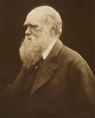 Portrait of Charles Darwin