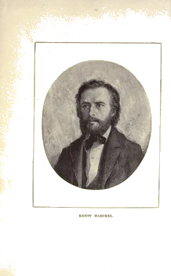Portrait of Ernst Haeckel
