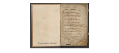 The first page of the oldest manuscript of the poem, the Leiden "Oblongus," written in the ninth century.